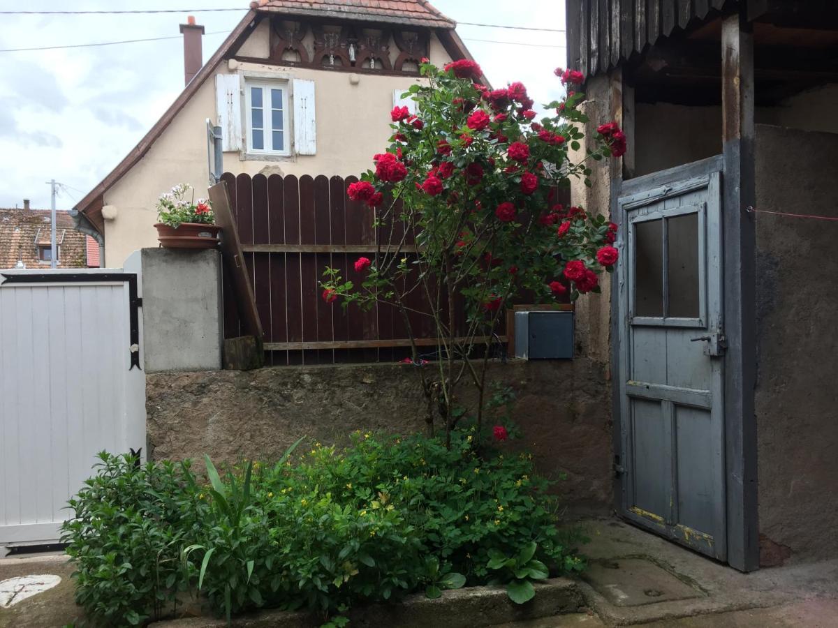 Appartement Spacieux Dans Joli Village Alsacien Châtenois Εξωτερικό φωτογραφία