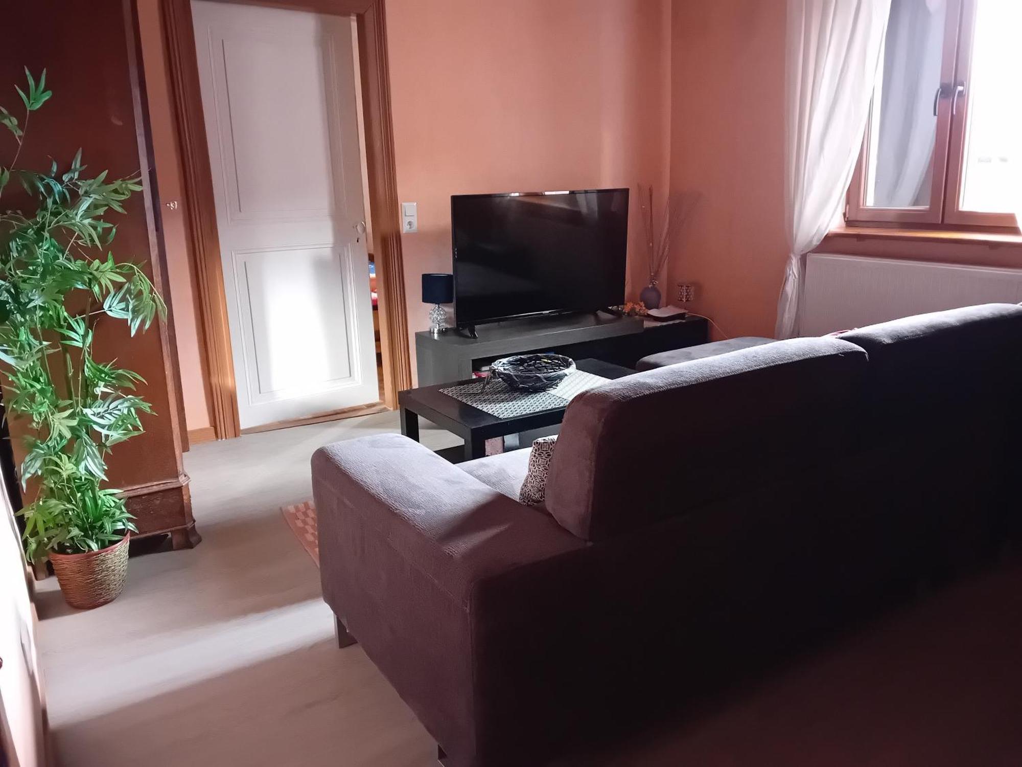 Appartement Spacieux Dans Joli Village Alsacien Châtenois Εξωτερικό φωτογραφία